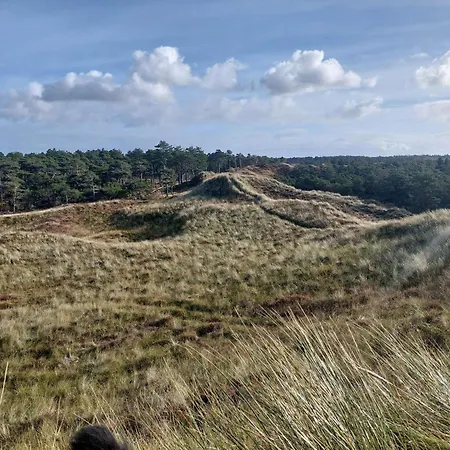 Secluded 60's - By Traum *