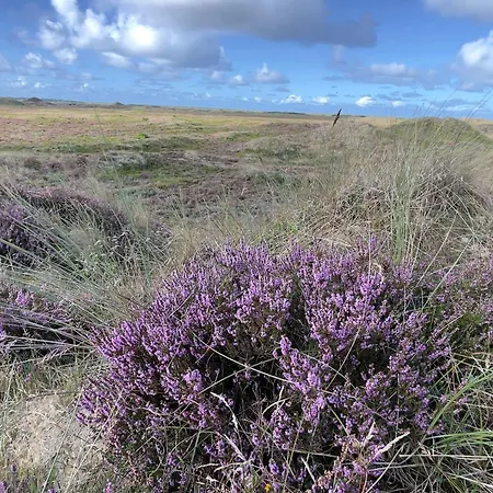 Secluded 60's - By Traum בית נופש