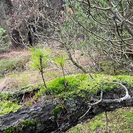 Secluded 60's - By Traum * Vesterhede