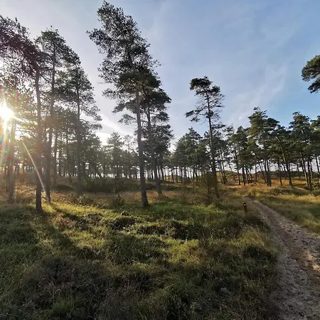 Secluded 60's - By Traum * Vesterhede