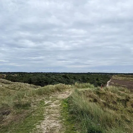 Secluded 60's - By Traum * Vesterhede