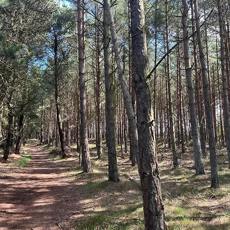 Secluded 60's - By Traum * Vesterhede