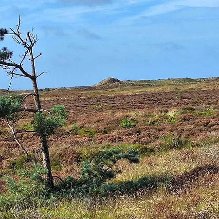 Secluded 60's - By Traum בית נופש