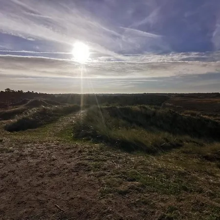 Secluded 60's - By Traum Vesterhede