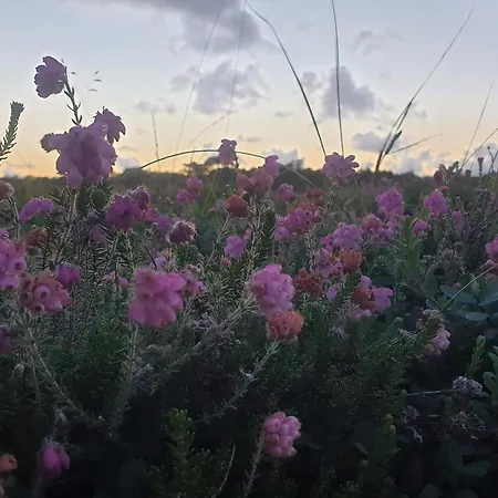 Secluded 60's - By Traum