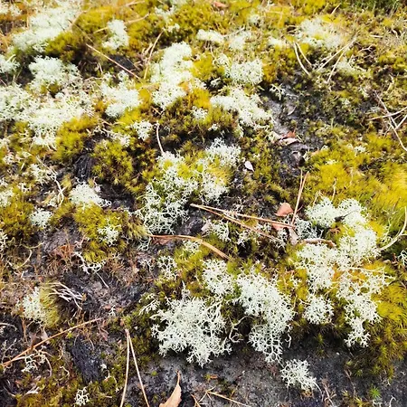 Secluded 60's - By Traum בית נופש *