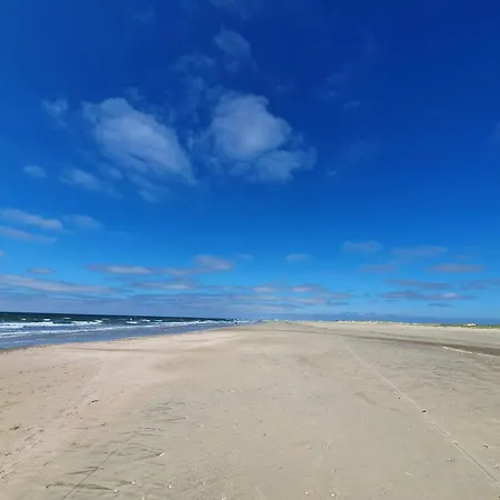 Secluded 60's - By Traum