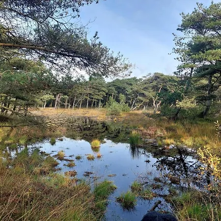 Secluded 60's - By Traum